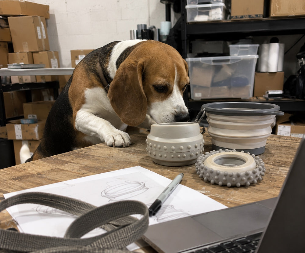 Beagle giving prototype bowls and toys a very thorough sniff test on the workbench