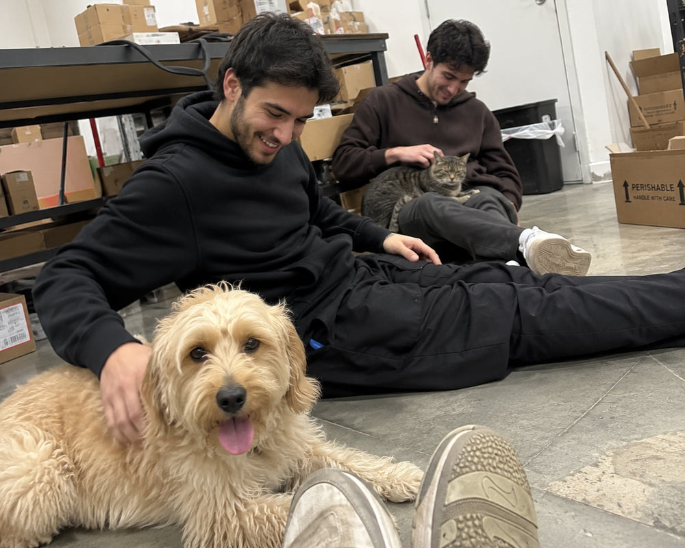 The founders on the warehouse floor with the pack's goldendoodle and tabby