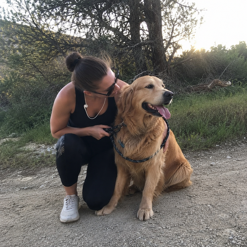 Golden Retriever sitting happily beside its owner after a walk